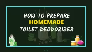 homemade portable toilet deodorizer