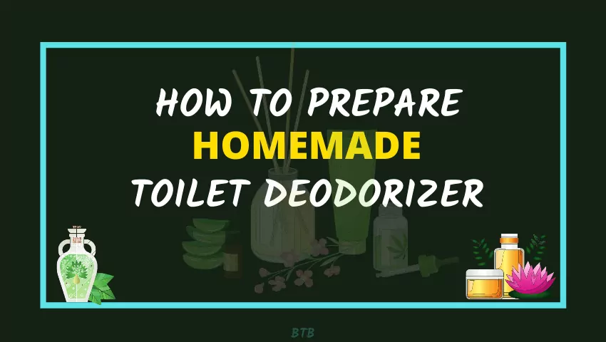 homemade portable toilet deodorizer
