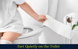 6 ways to Fart Quietly on the Toilet like a Pro