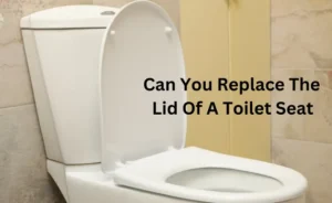 can you replace the lid of a toilet seat