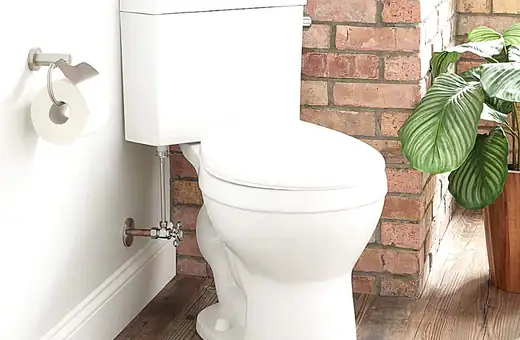 corner toilet